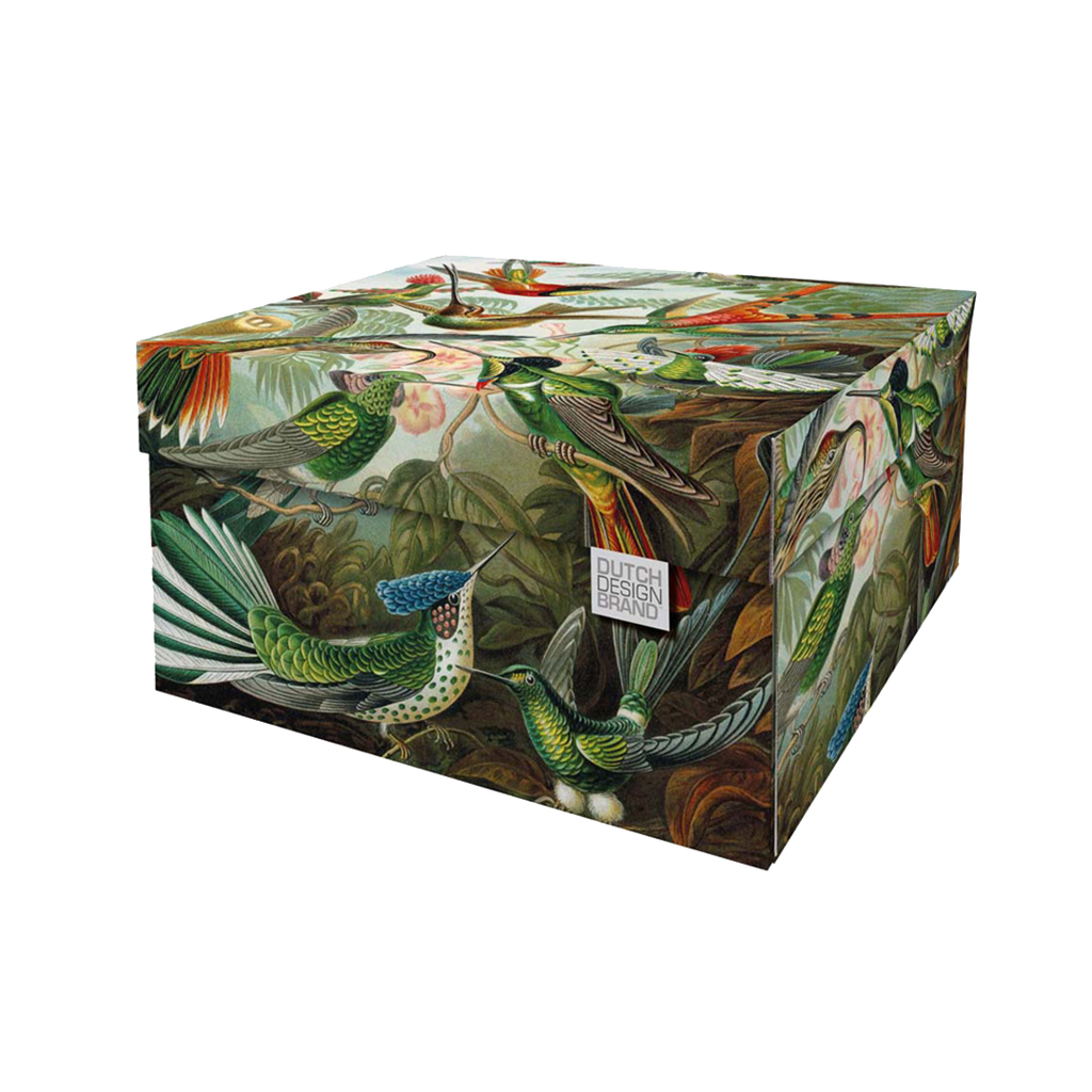 DDSB_DutchDesignStoragBoxClass