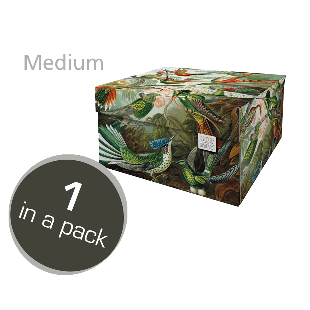 Boîte de rangement de taille moyenne avec colibris.