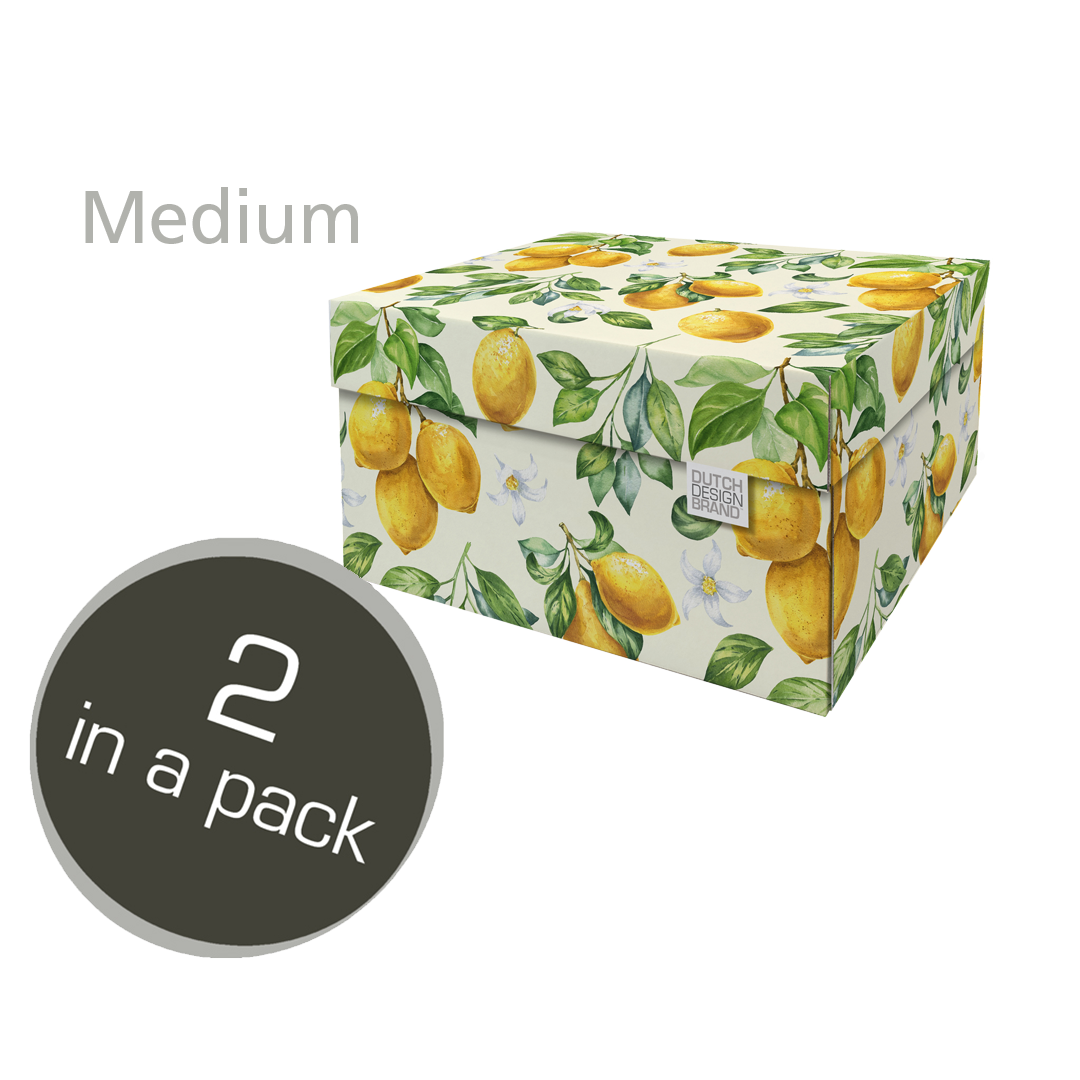 Lemons Storage Box