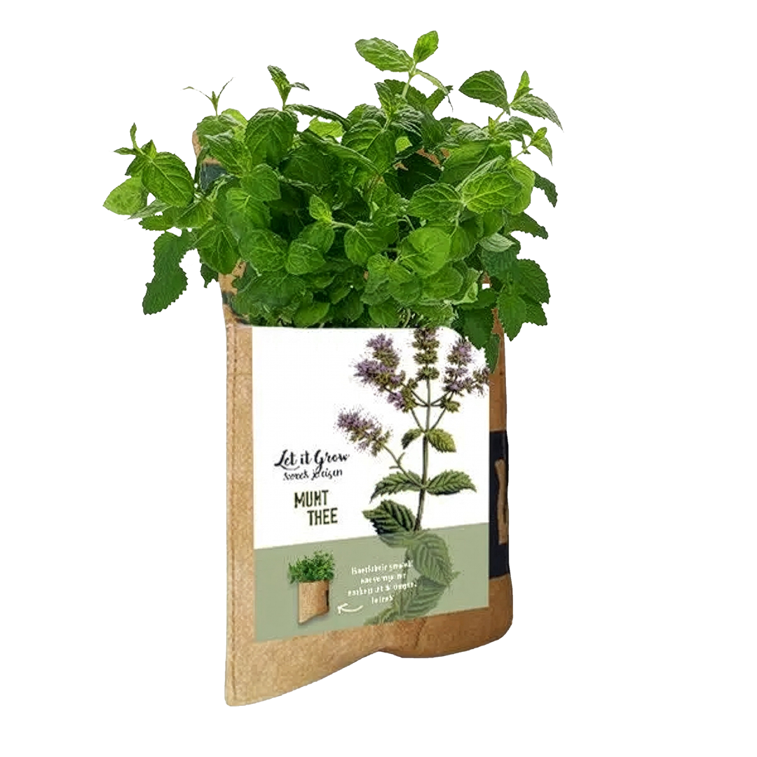 Coffret Conte de fées (Fairytale) B2B