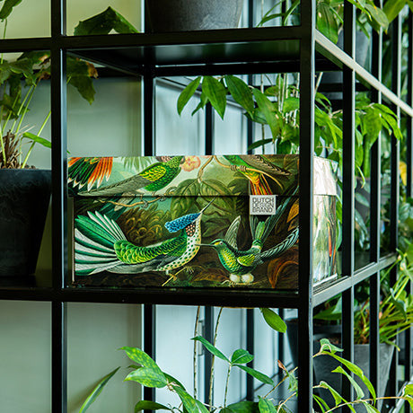 Art of Nature Storage Box Classic Kerst