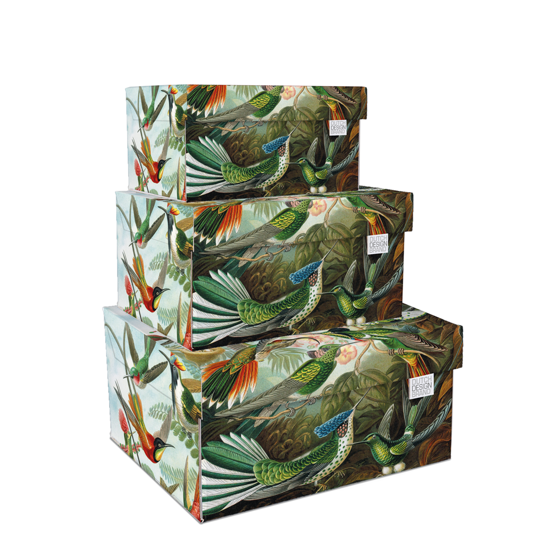 Art of Nature Storage Box Kerst
