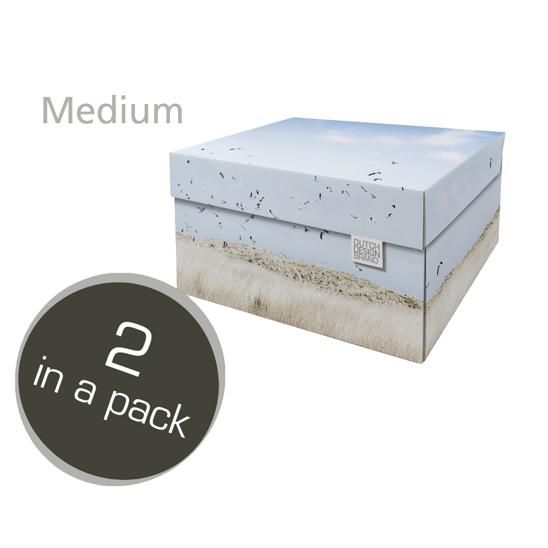 Texel Dunes Storage Box