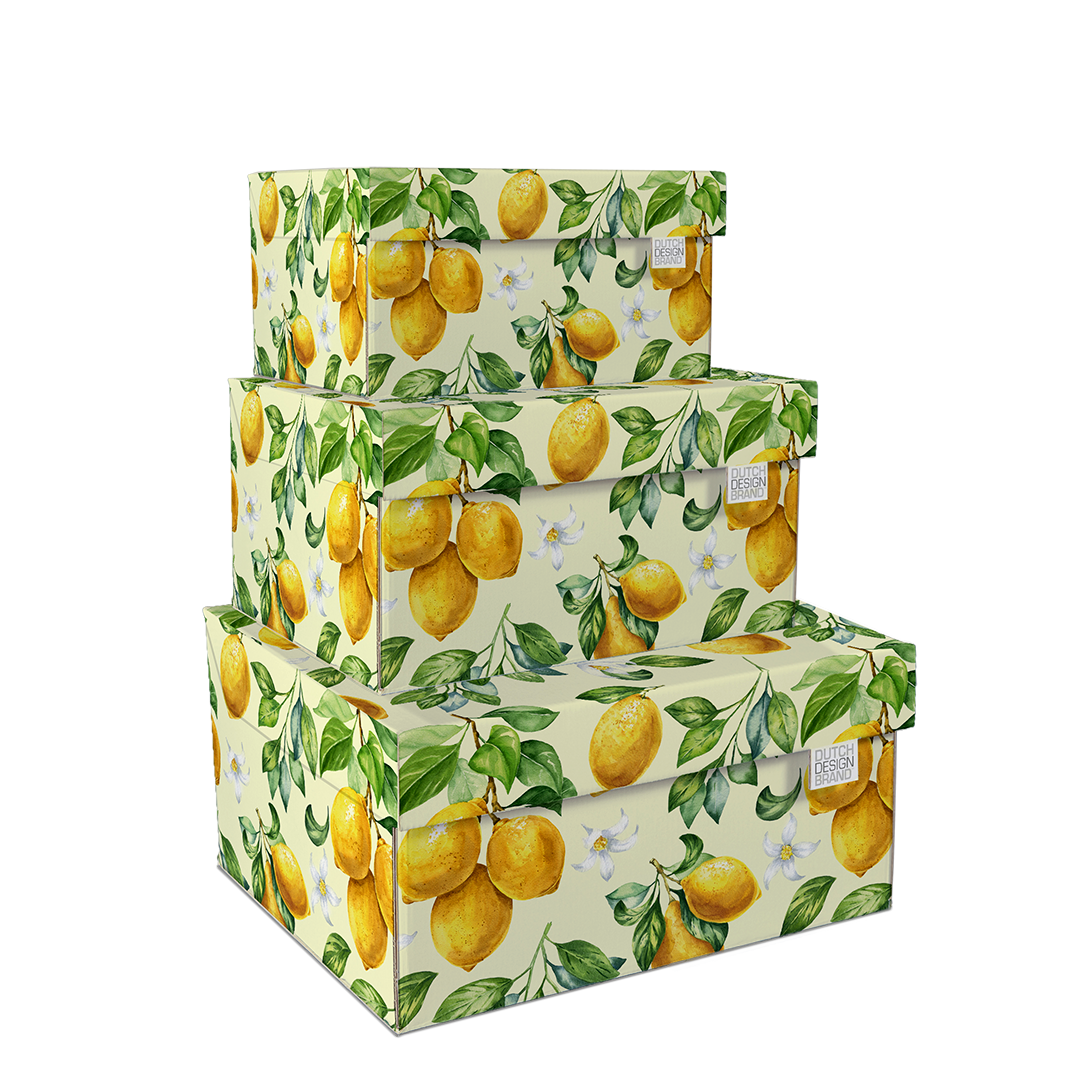 Lemons Storage Box Kerst