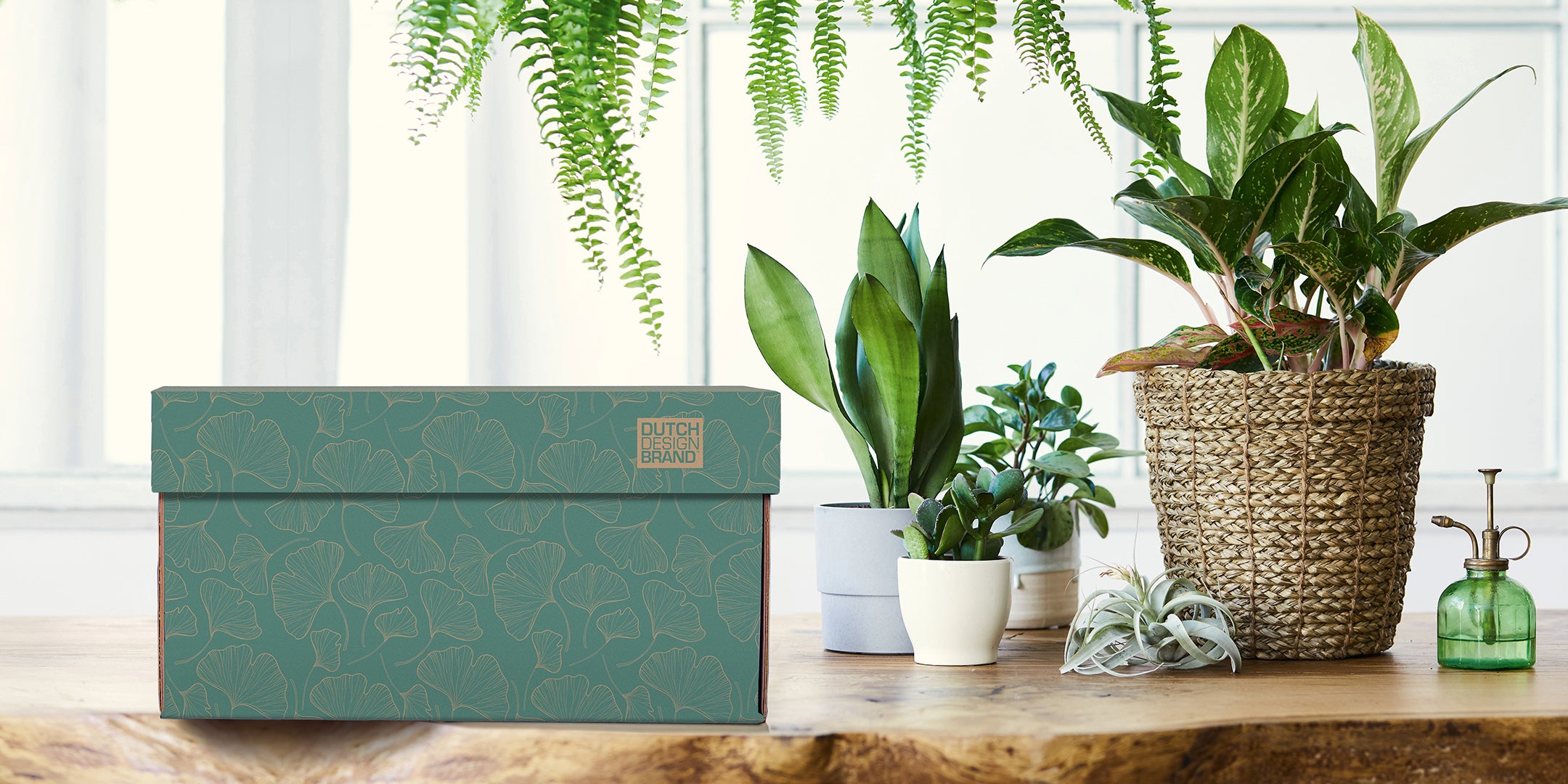 We create sustainable Dutch design | Dutch Design Brand