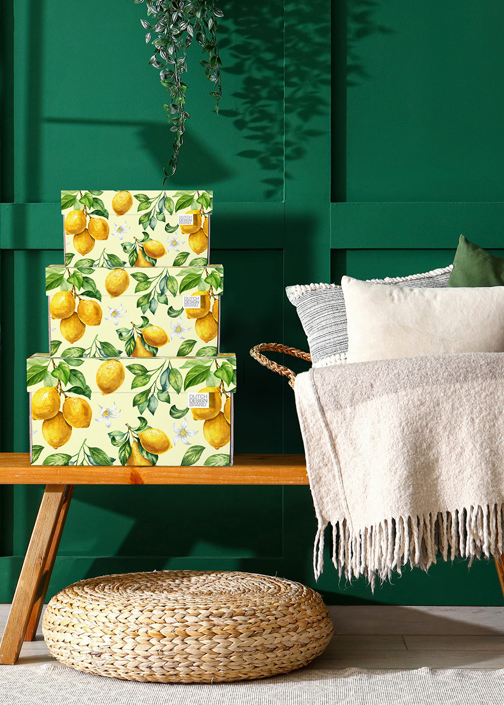 We create sustainable Dutch design | Dutch Design Brand