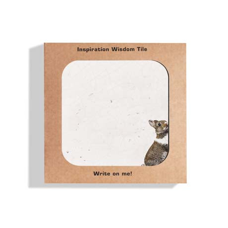 Wisdom Tile Rabbit B2B