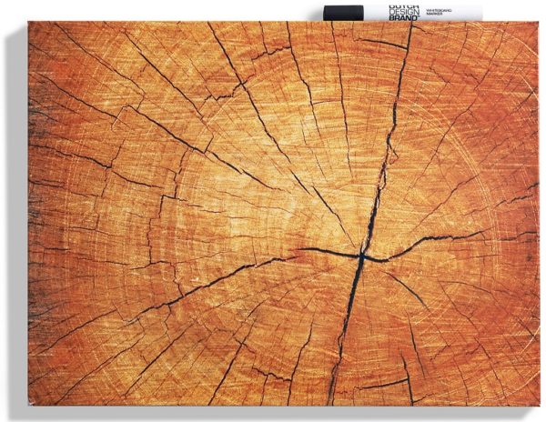 Tree Trunk Whiteboard which closely resembles a tree trunk.