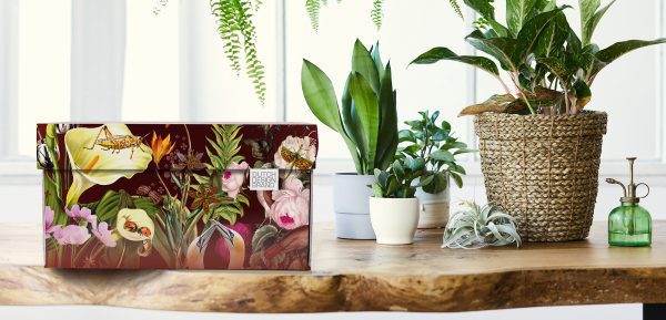 Triptic Storage Box is decorated with colourful plants with some insects scattered about.
