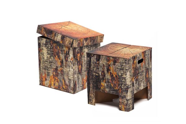 Two Tree Trunk Chairs which closely resemble a tree trunk. One is in chair form the other in box form.