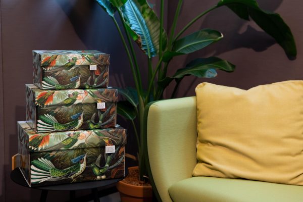 Art of Nature Storage Box. The box is decorated with a print depicting hummingbirds and greenery.