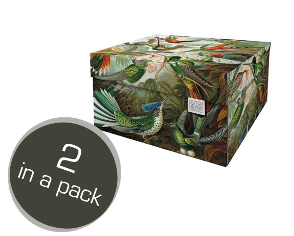 Art of Nature Storage Box. The box is decorated with a print depicting hummingbirds and greenery. Two in a Pack