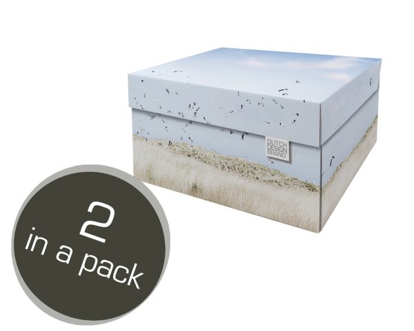 Texel Dunes Storage Box depicting the dunes of Texel with seagulls flying above. Two in a pack.